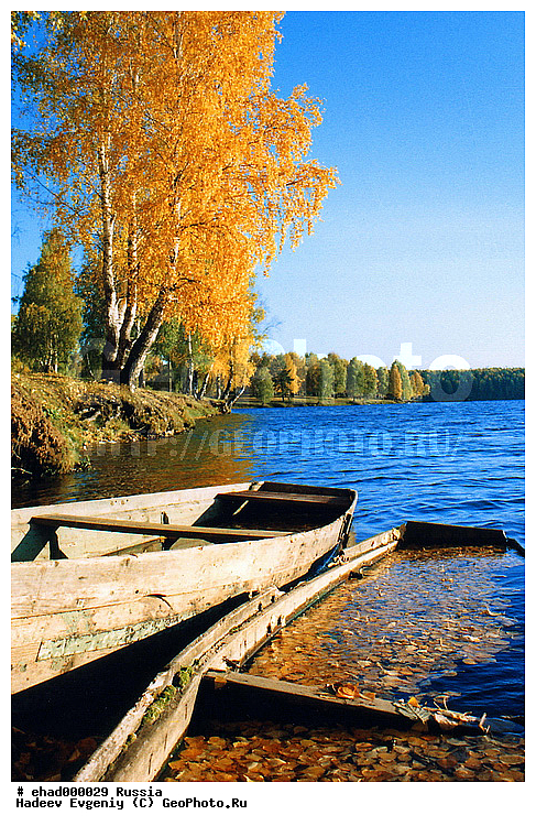 ������, ������, ������, ��������