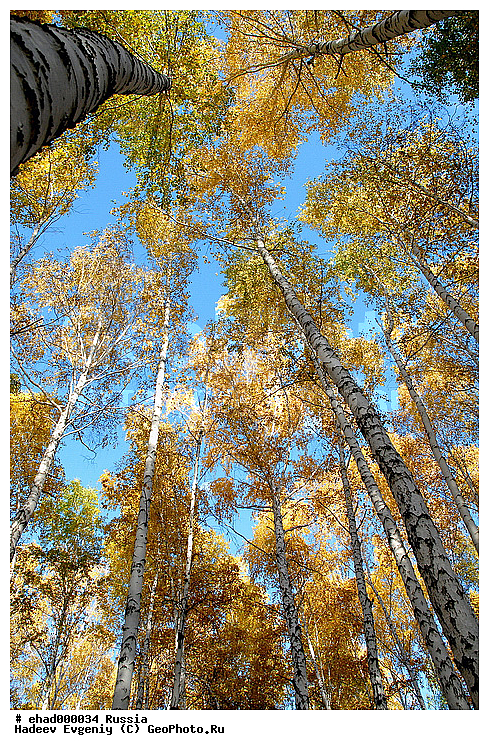 ������, ������, ������, ��������