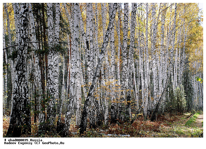 ������, ������, ������, ��������