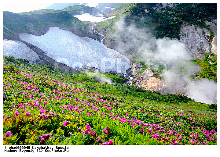 ��������, ������