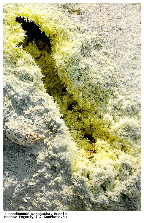 ��������, ������