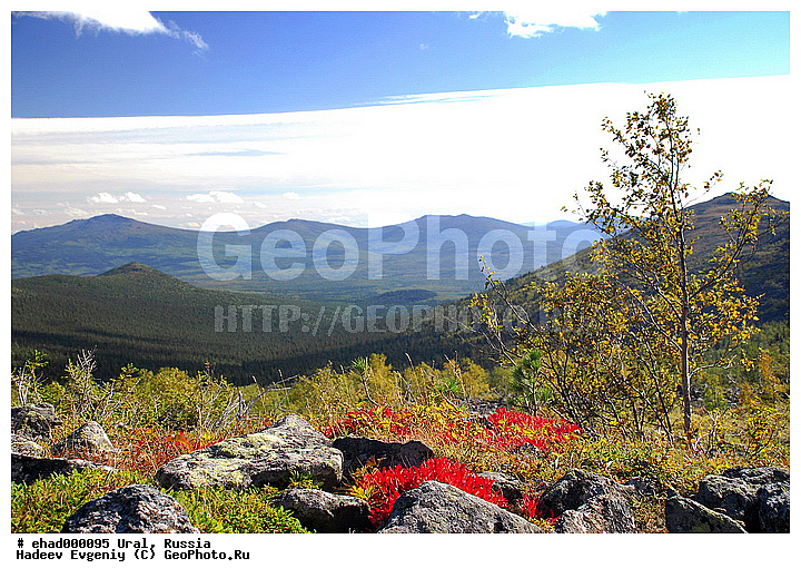 ������, ����