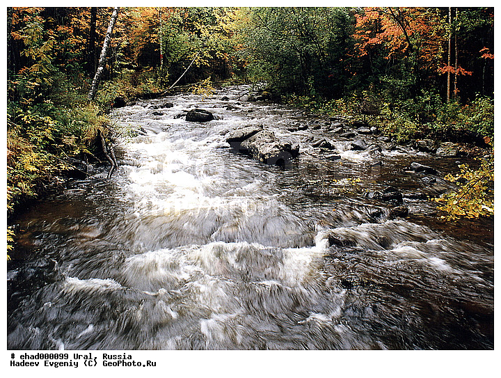 ������, ����