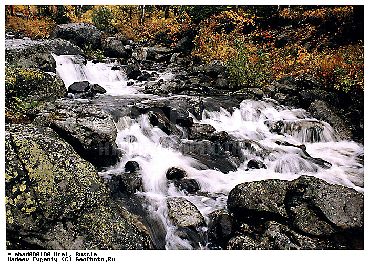 ������, ����