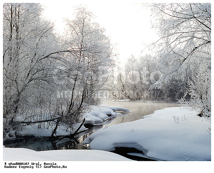 ������, ����