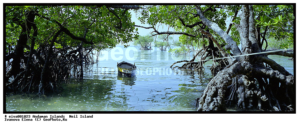 ����������� �������