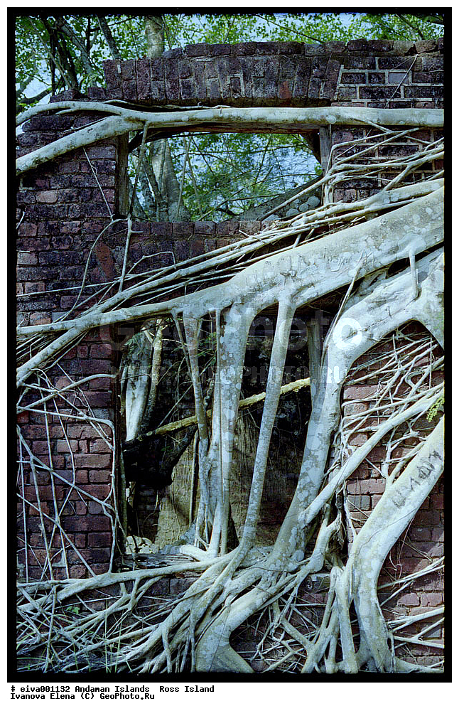 ����������� �������