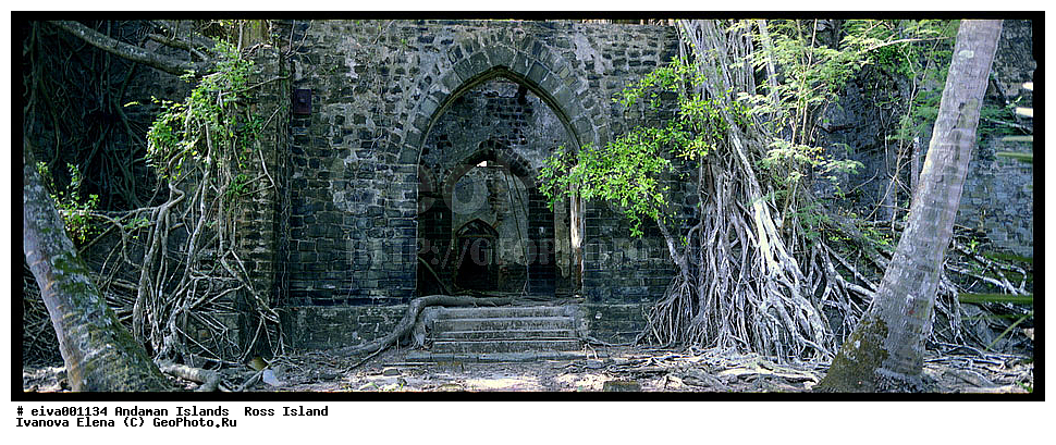 ����������� �������