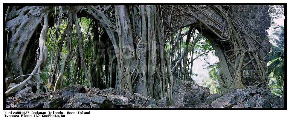 ����������� �������