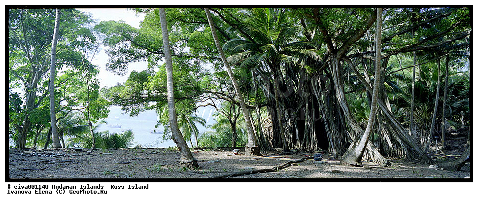 ����������� �������