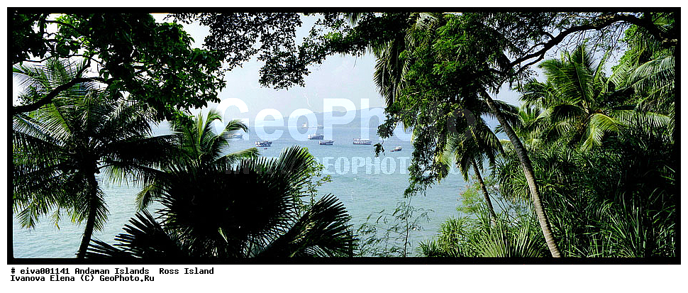 ����������� �������