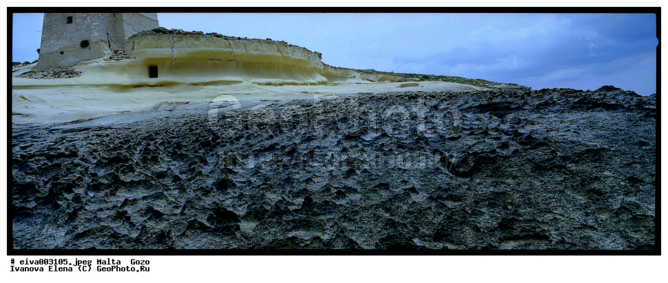 ������ ����