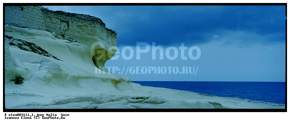 ������ ����