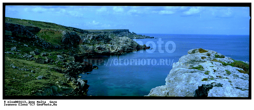 ������ ����