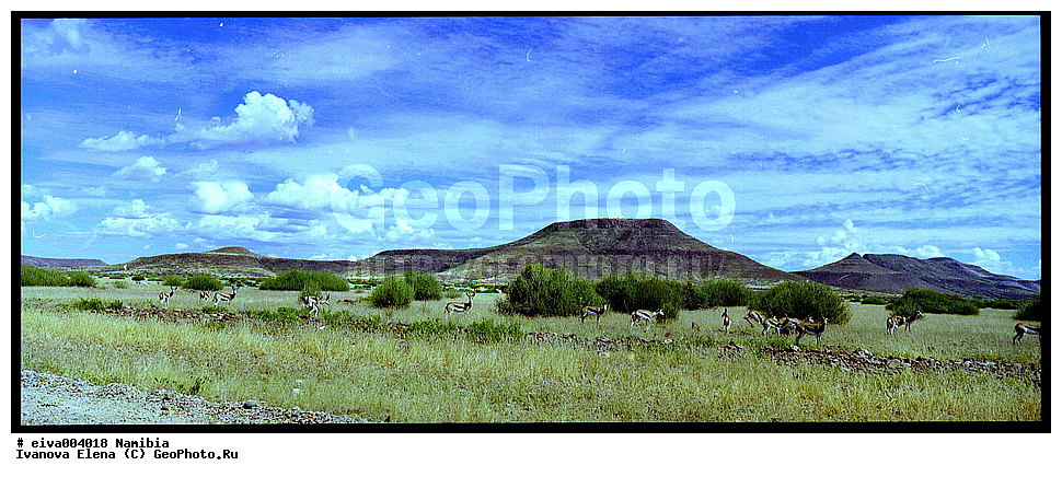 ������, �������