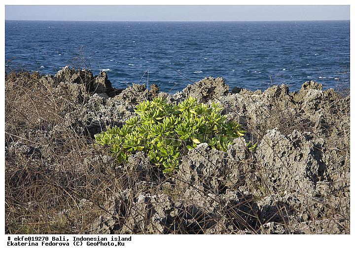 ����, ���������, ��������� ���������, ����� �������� �������, �����, �����, ������, ������, ���������, �������������