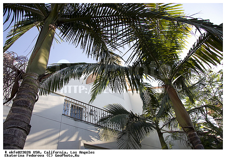 �������, ����������, ���-��������, ������, ���, �����