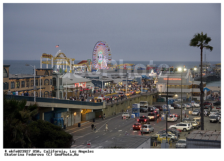 �������, ����������, ���-��������, ����, ���, ����� ������, �����