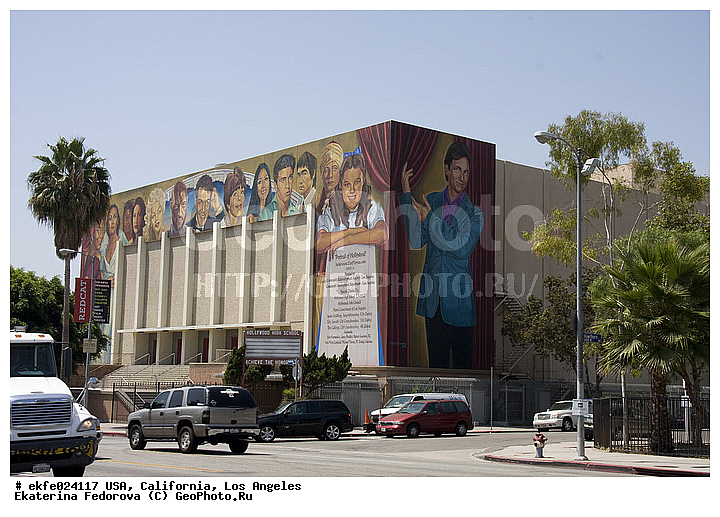 �������, ��������, ����������, ���-��������, ���, �����, �����