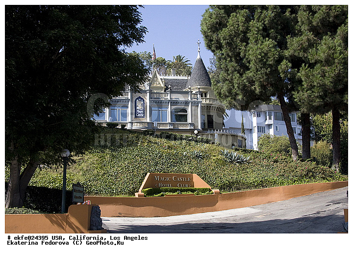 �������, ��������, ���, ����������, ���-��������, ���, �����