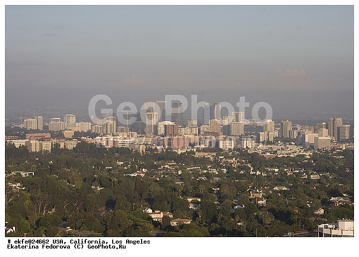 �������, ����������, ���-��������, ���, �����, ��������� ��������, ��������