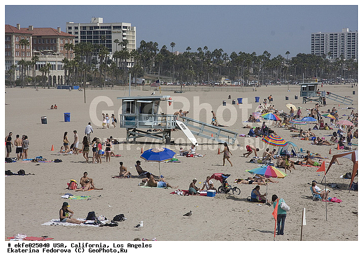 �������, ����������, ���-��������, ����, ���, ����� ������, �����, ���