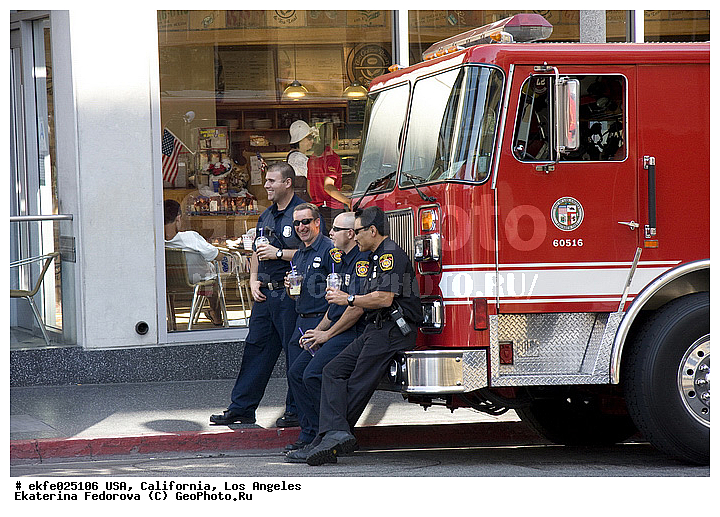 �������, ��������, ����������, ���-��������, ����, ���, �����, �������� ������, ��������