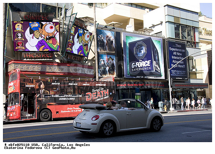 �������, �������, ��������, ����������, ���-��������, �������, �������, ���, ������, �����