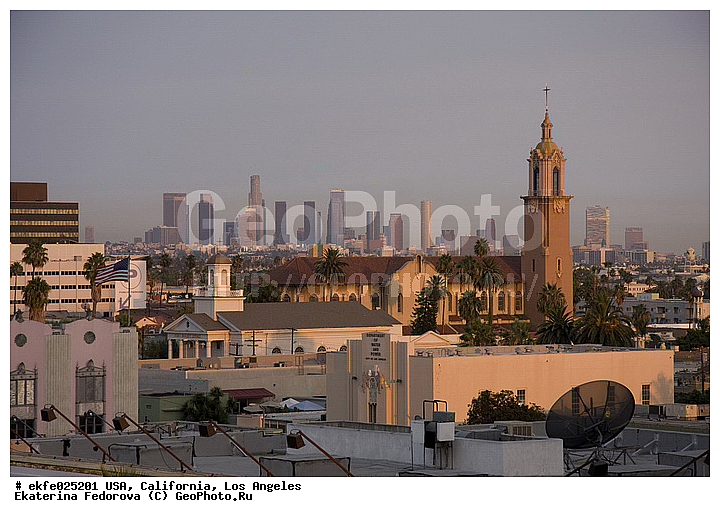 �������, ��������, ��������, ����������, ���-��������, ���, �����