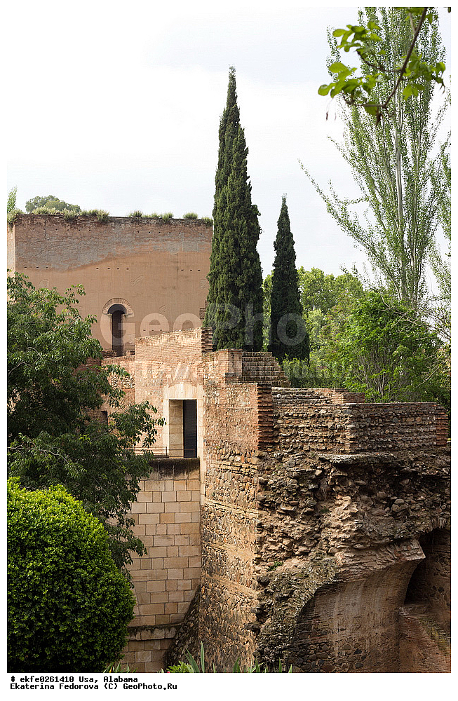 ���, �������, �����������, �������, �������, ���������