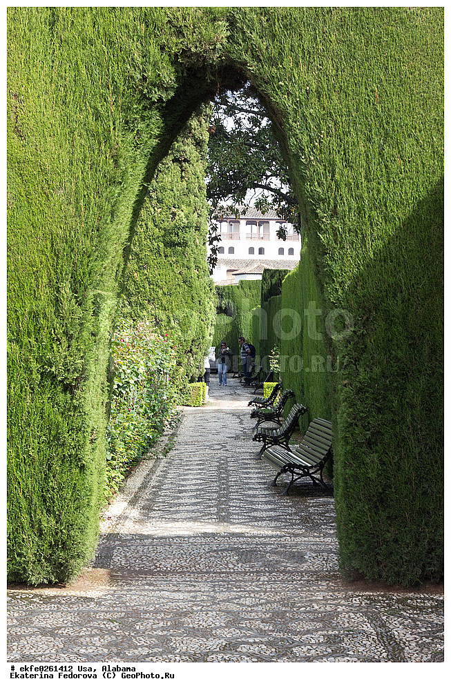 ���, �������, �����������, �������, �������, ���������