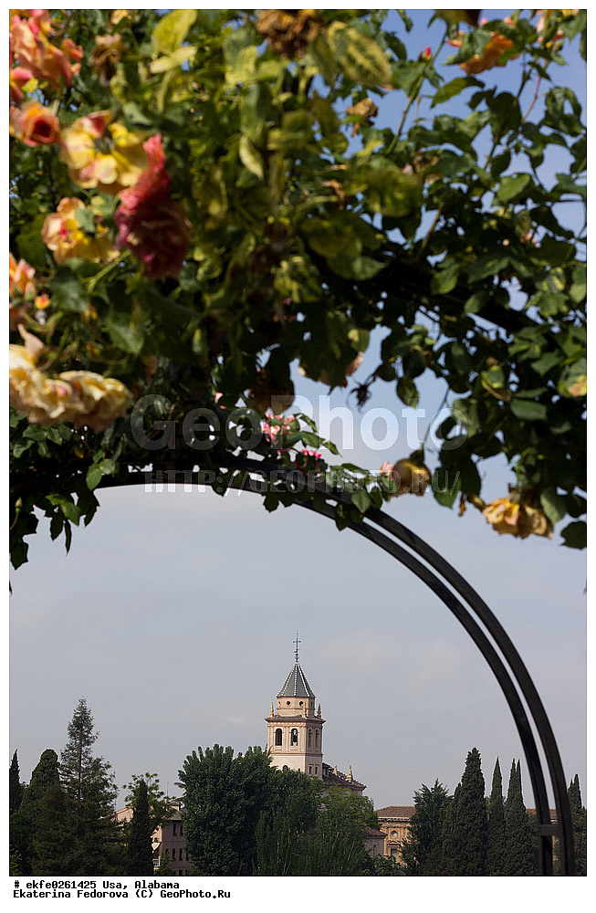 ���, �������, �����������, �������, �������, ���������