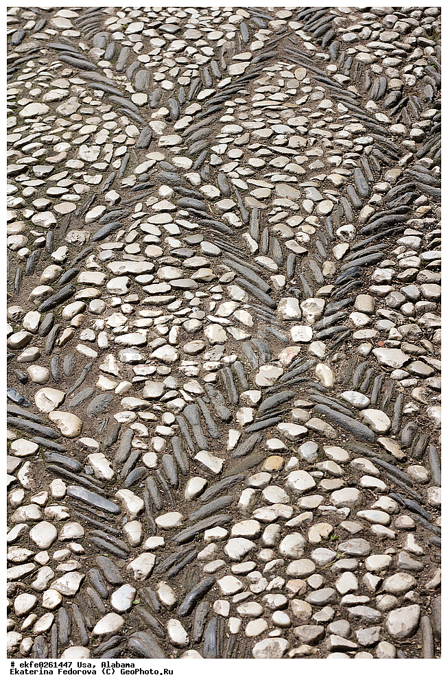 ���, �������, �����������, �������, �������, ���������