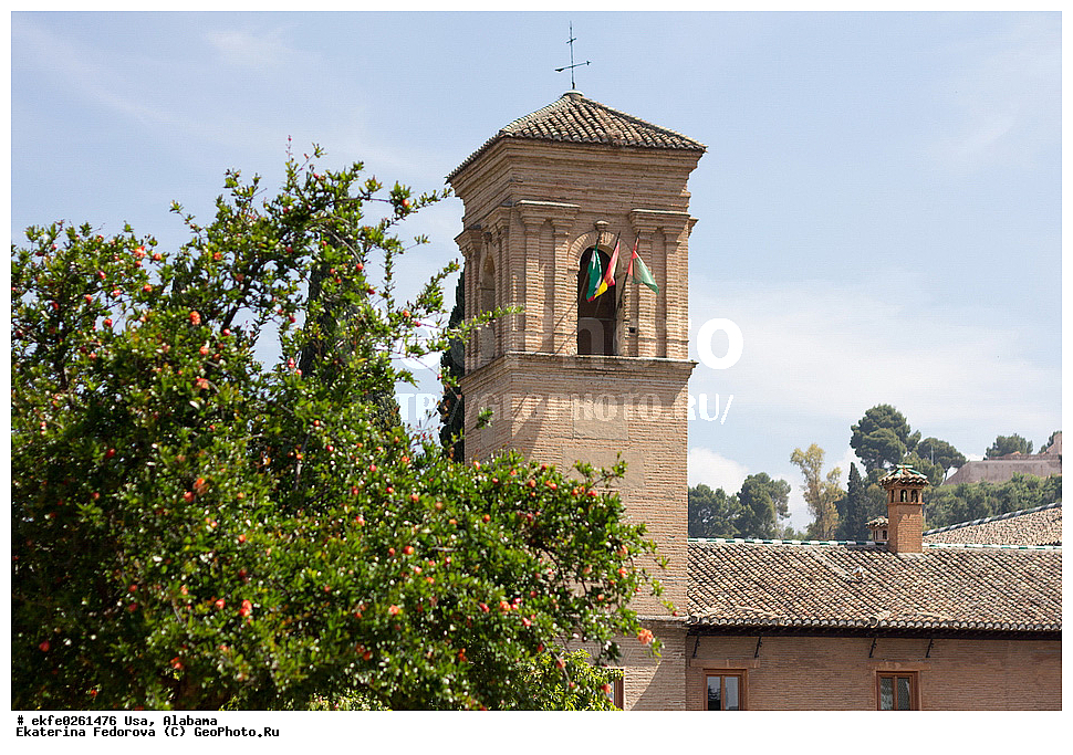 ���, �������, �����������, �������, �������, ���������