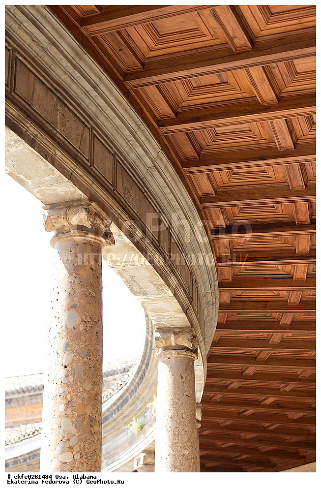 ���, �������, �����������, �������, �������, ���������