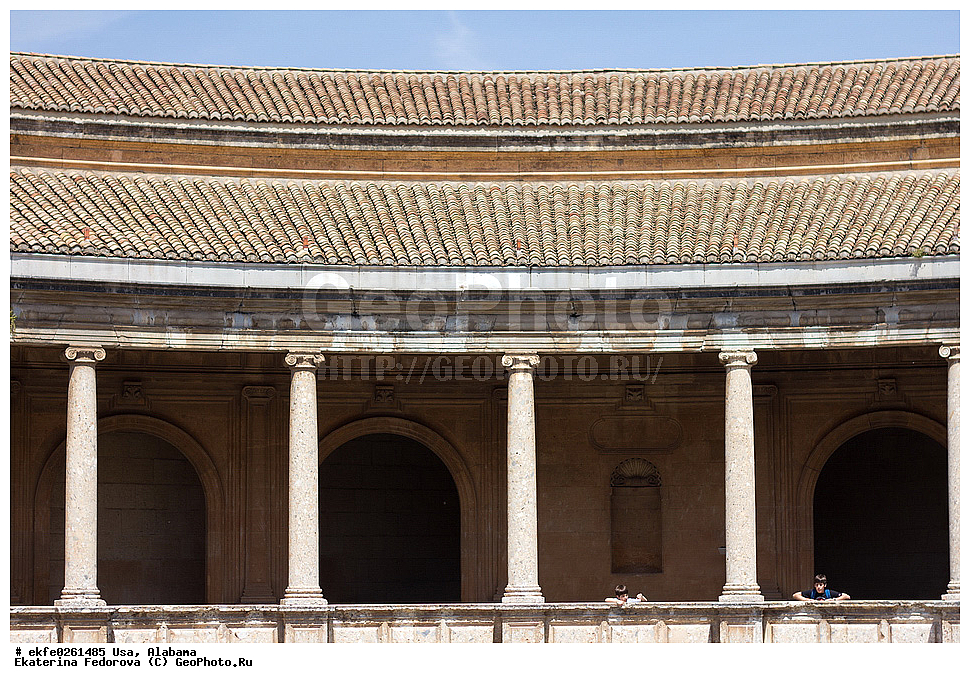 ���, �������, �����������, �������, �������, ���������