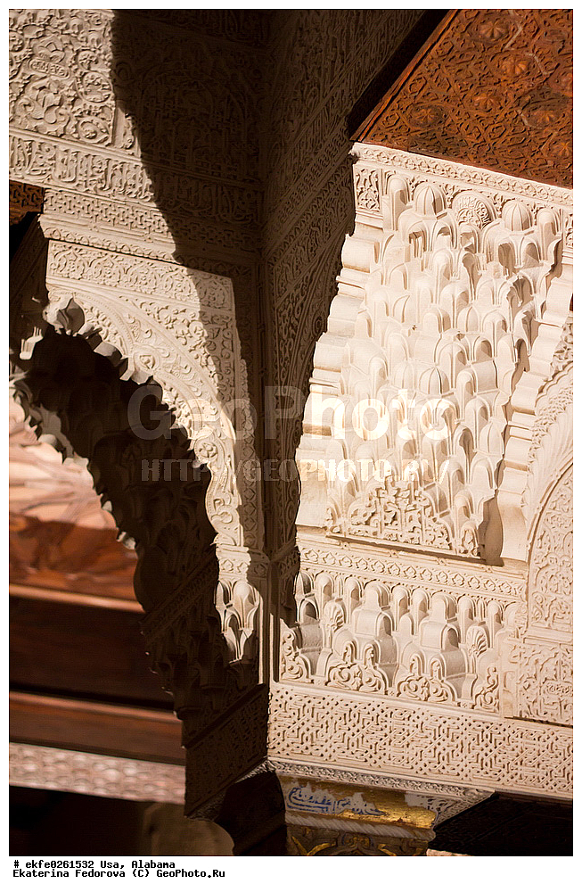 ���, �������, �����������, �������, �������, ���������