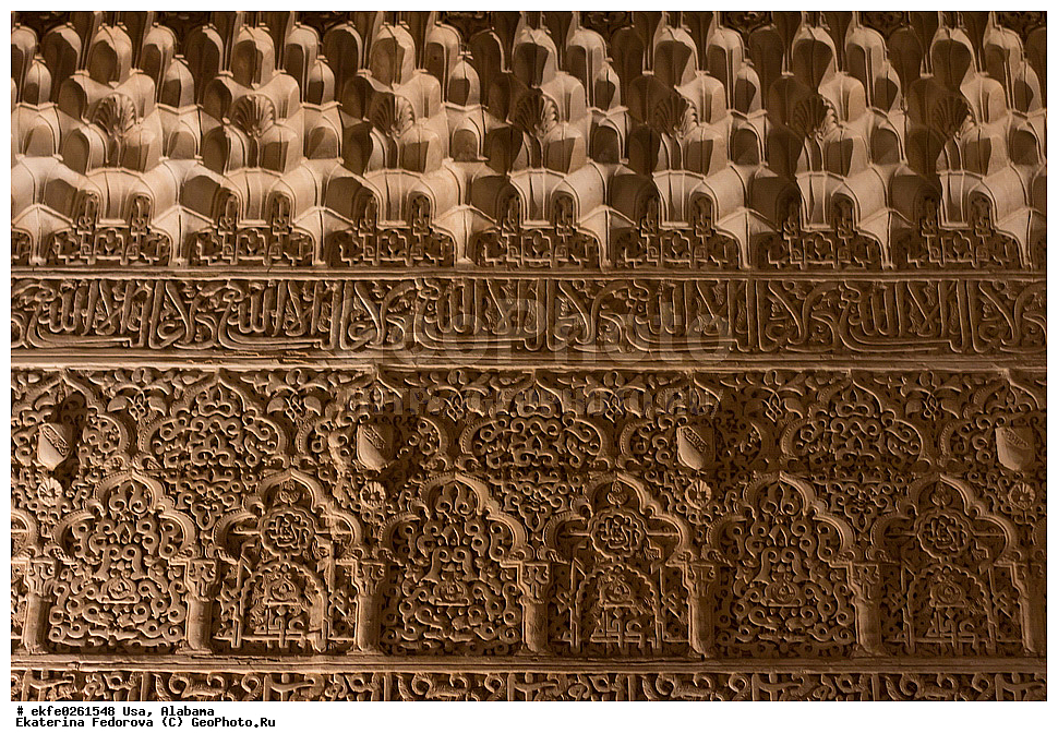 ���, �������, �����������, �������, �������, ���������