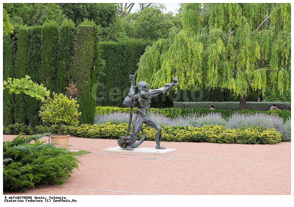 �������, ��������, �����������