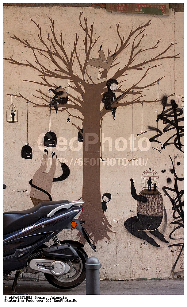 �������, ��������, �����������