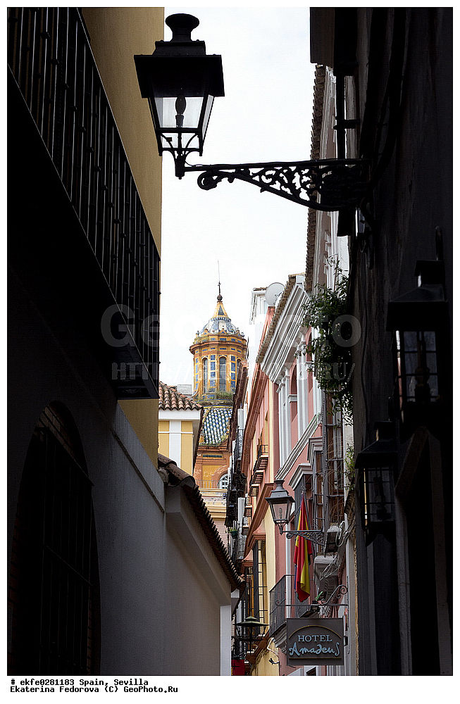 �������, �������, �����������, ������, ���������, ����, �����, �����, ������� ������