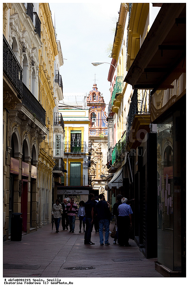 �������, �������, �����������, ���������, ������, �����, ���������, ������� ����������, ����, ������, ����, �����, ���, ������������ �����, ������������ �����