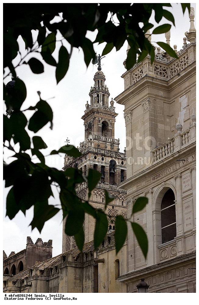 �������, �������, �����������, ���������, ������, �����, ������� ����������, ����, �����, ���, ������������ �����, ������������ �����, �����, ������, ������, ����, ������,