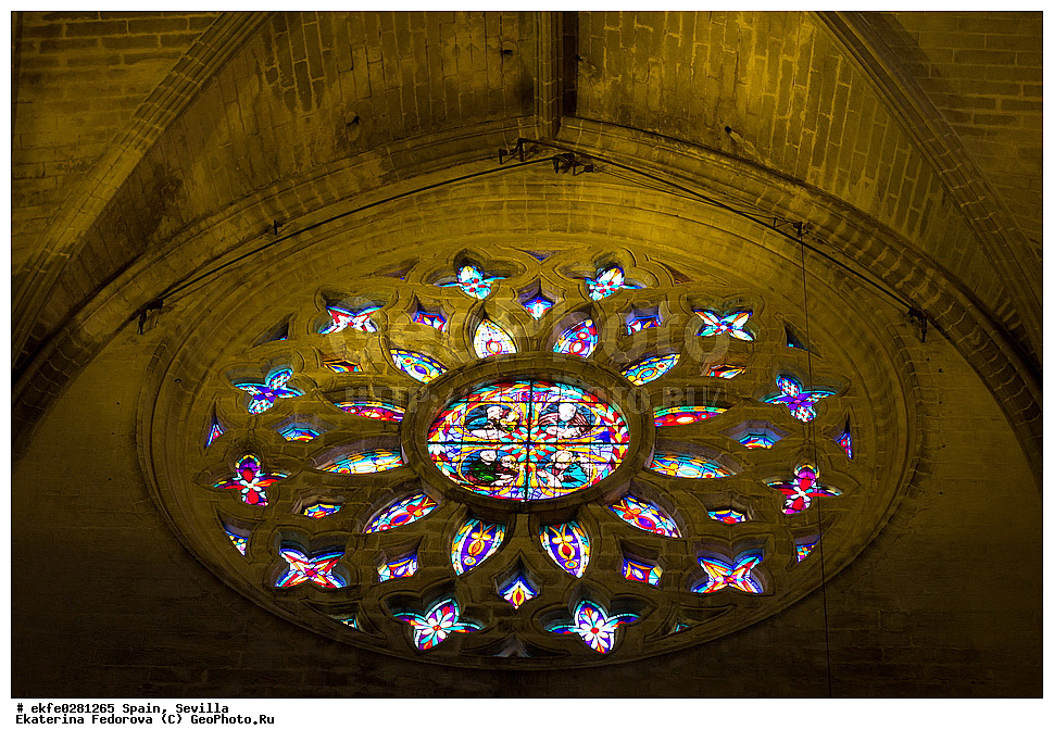 �������, �������, �����������, ������, ���������, ����, �����, �����, ������� ������, ����, ������, �������, �������, �������, �������, ����, ������������ ������, ������������ ���������, ����