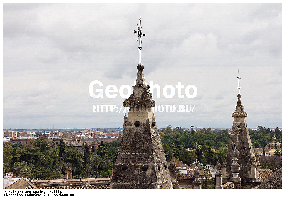 �������, �������, �����������, ������, ���������, ����, �����, �����, ������� ������, ����, ������, ������ ������, ��������� ������,�����, �������, ������ ���������, ������������ ���������, 