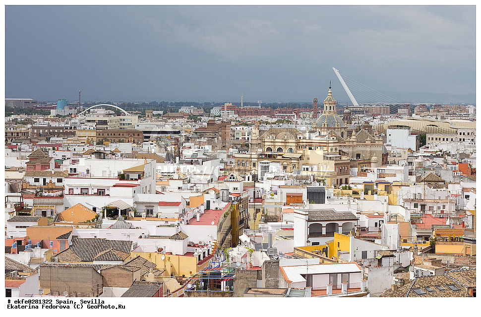 �������, �������, �����������, ������, ���������, ����, �����, �����, ������� ������