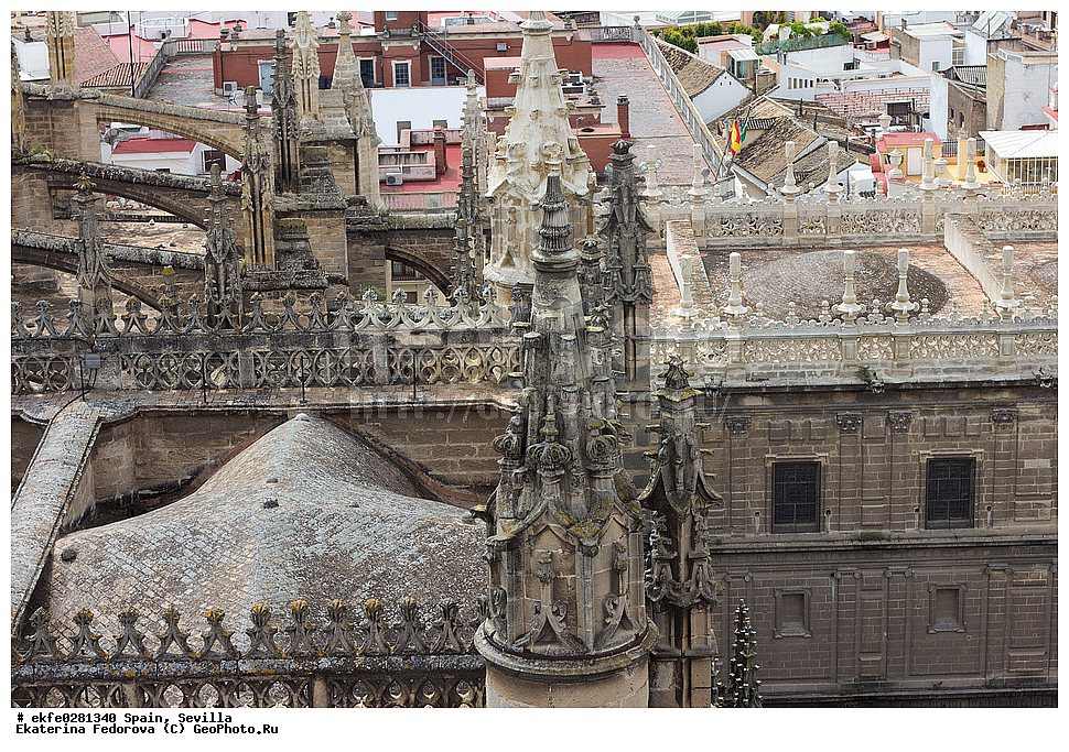 �������, �������, �����������, ������, ���������, ����, �����, �����, ������� ������