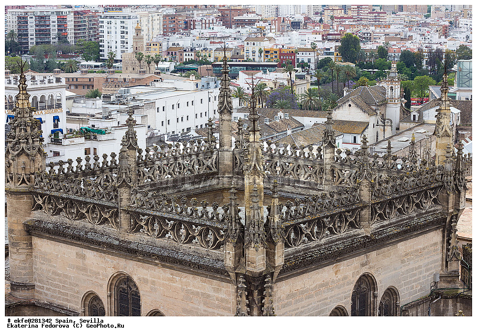 �������, �������, �����������, ���������, ������, ������������ ������, ������, ������� ����, ������ ������, ��������� ������, �����,