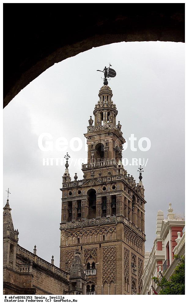 �������, �������, �����������, ������, ���������, ����, �����, �����, ������� ������