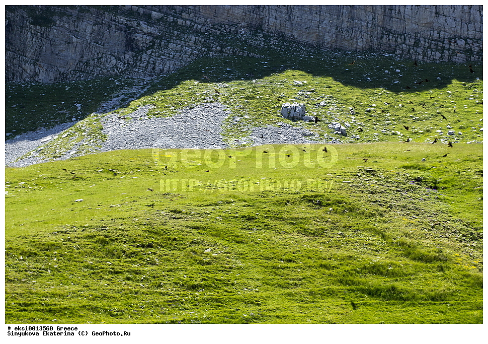 �����������, ������, ��������� ����������, �����������, ����, ����, ������, ��������� ����������, �����������, ����, ����, ���������, ����, �����, ����������, �����, ���������, ������������ ����, ������, ����, ������, ����, ���, �����, ����, �����, �����, ����, �����, �����, ������, ������, ��������, �����, ����, ����������, ����������, ��������, �������, �������, ���������